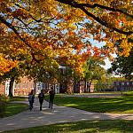 Students walk together to class under the colorful leaves of Beloit’s campus in autumn.